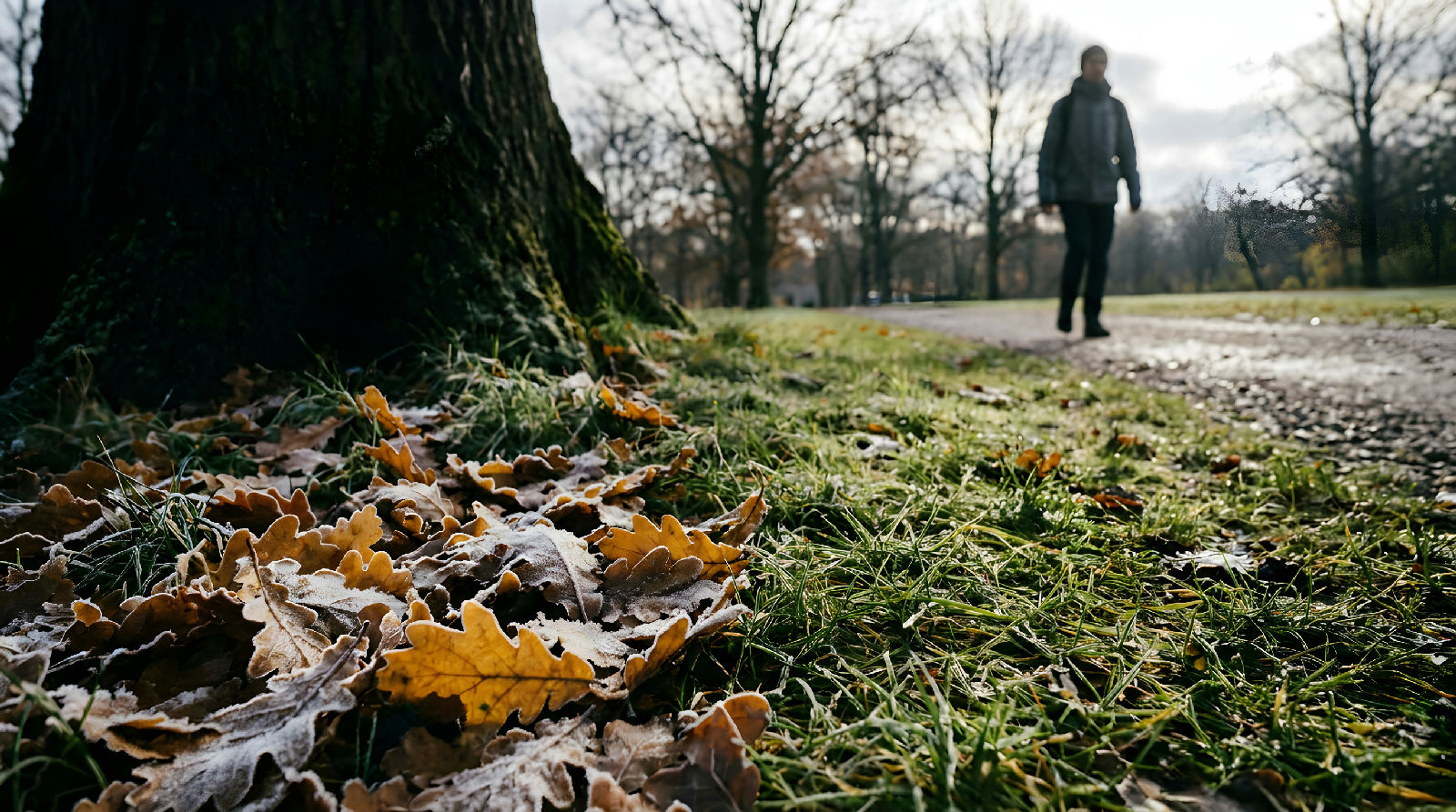Vejret i uge 42 svinger fra frost til 17 grader